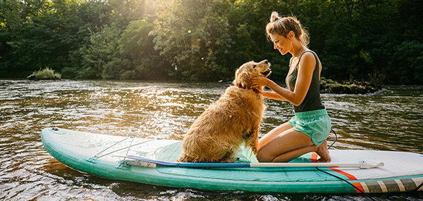 cuanto cuesta una vacuna de refuerzo para un perro